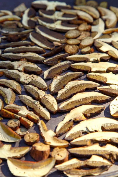 Sliced Porcini Mushrooms Drying Sliced Dried Natural Porcini Mushrooms Wood — Stock fotografie