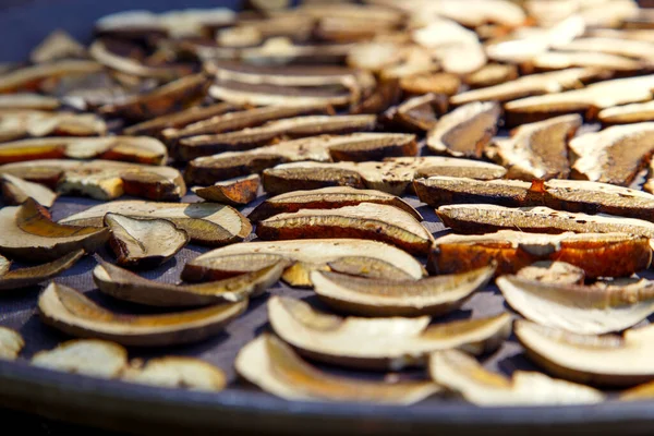 Sliced Porcini Mushrooms Drying Sliced Dried Natural Porcini Mushrooms Wood — Stockfoto