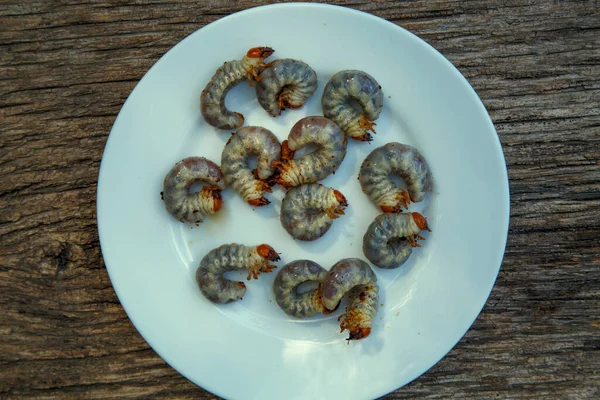 May beetle larva on an old board. May beetle larvae before cooking. The concept of delicacies, national cuisine of the peoples of the world, the environment.