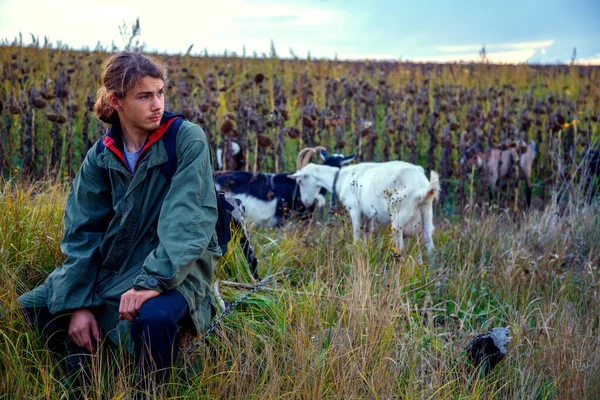 Teenage Boy Grazes Goats Field Shepherd Goats Field Stormy Sky — Stock Photo, Image