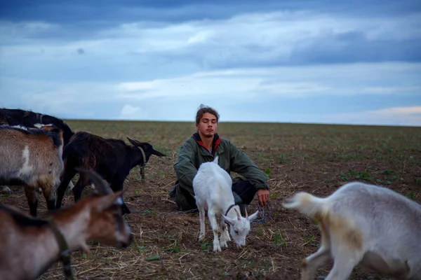 Teenage Boy Grazes Goats Field Shepherd Goats Field Stormy Sky — Stock Photo, Image