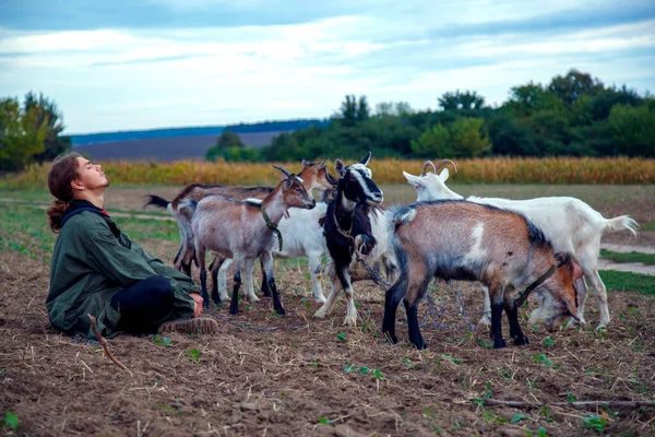 Teenage Boy Grazes Goats Field Shepherd Goats Field Stormy Sky — Stock Photo, Image