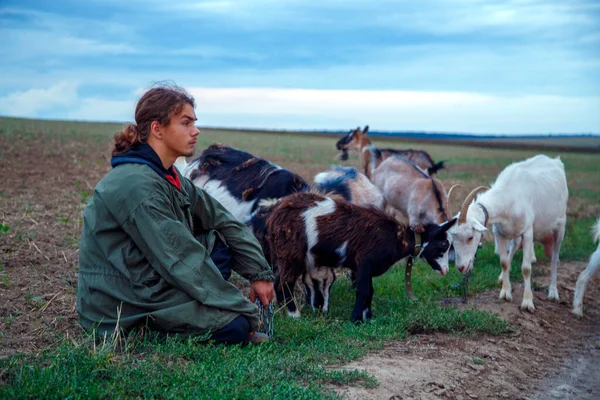 Teenage Boy Grazes Goats Field Shepherd Goats Field Stormy Sky — Stock Photo, Image