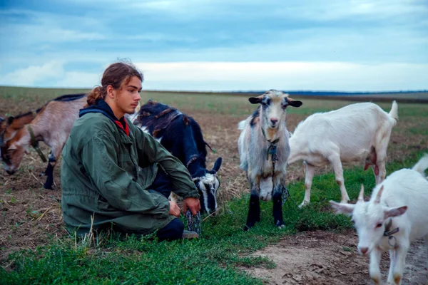 Teenage Boy Grazes Goats Field Shepherd Goats Field Stormy Sky — Stock Photo, Image