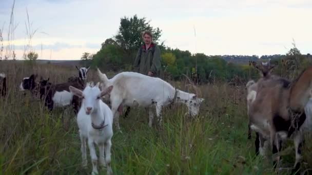 Adolescente Roza Cabras Campo Pastor Con Cabras Campo Contra Cielo — Vídeos de Stock