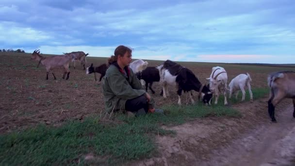 Adolescente Pascola Capre Campo Pastore Con Capre Campo Contro Cielo — Video Stock