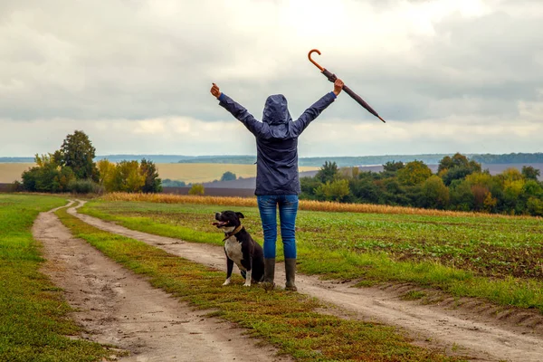 Una Donna Porta Suo Cane Campo Dopo Temporale Ragazza Con — Foto Stock