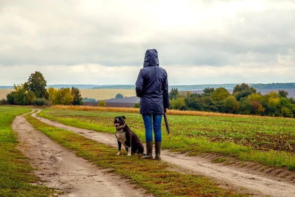 Una Donna Porta Suo Cane Campo Dopo Temporale Ragazza Con — Foto Stock