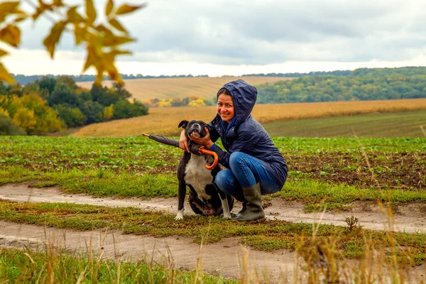 Женщина Выгуливает Собаку Поле После Грозы Девушка Стаффордширским Терьером Природе — стоковое фото