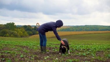 Bir kadın fırtınadan sonra köpeğini tarlada gezdirir. Bulutlu bir günde doğada çalışan bir teriyeri olan bir kız. Özgürlük, mutluluk, arkadaşlık, doğa kavramı. Kamera hareketi. 
