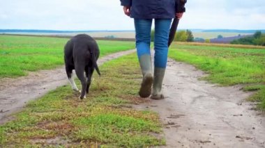 Bir kadın fırtınadan sonra köpeğini tarlada gezdirir. Bulutlu bir günde doğada çalışan bir teriyeri olan bir kız. Özgürlük, mutluluk, arkadaşlık, doğa kavramı. Kamera hareketi. 