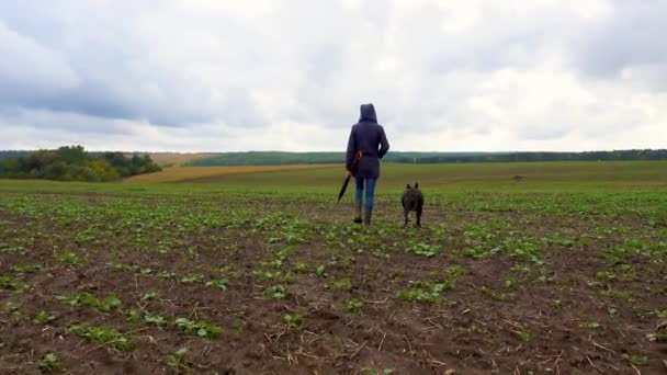 Женщина Выгуливает Собаку Поле После Грозы Девушка Стаффордширским Терьером Природе — стоковое видео