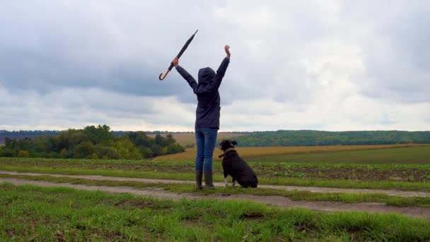 Bir Kadın Fırtınadan Sonra Köpeğini Tarlada Gezdirir Bulutlu Bir Günde — Stok video