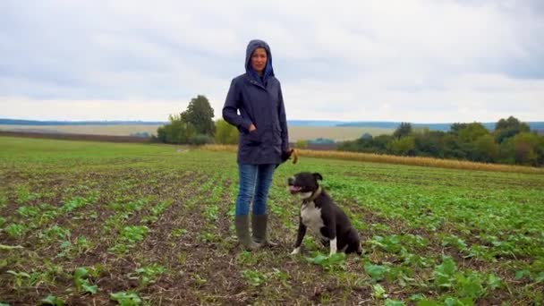 Uma Mulher Passeia Seu Cão Num Campo Depois Uma Tempestade — Vídeo de Stock