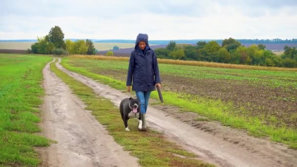 Kvinna Rastar Sin Hund Ett Fält Efter Ett Åskväder Flicka — Stockvideo