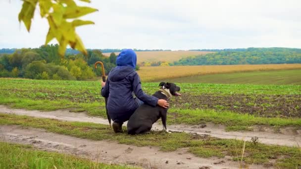 Женщина Выгуливает Собаку Поле После Грозы Девушка Стаффордширским Терьером Природе — стоковое видео
