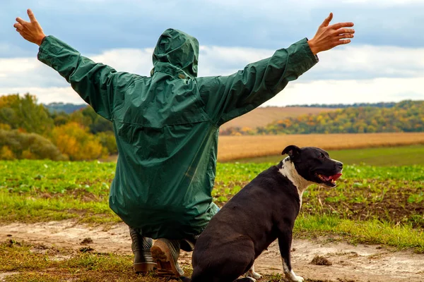 Mężczyzna Wyprowadza Psa Pole Burzy Facet Staffordshire Terrier Naturze Pochmurny — Zdjęcie stockowe