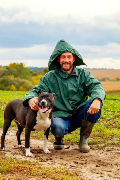 Человек Выгуливает Собаку Поле После Грозы Парень Стаффордширским Терьером Природе — стоковое фото