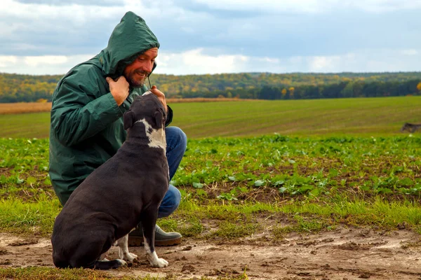 Человек Выгуливает Собаку Поле После Грозы Парень Стаффордширским Терьером Природе — стоковое фото