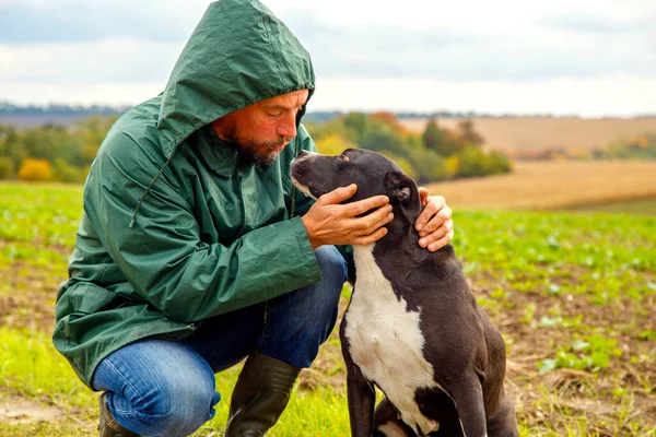 Bir adam fırtınadan sonra köpeğini bir tarlada gezdirir. Bulutlu bir günde doğada çalışan bir teriyeri olan bir adam. Özgürlük, mutluluk, arkadaşlık, doğa kavramı.. 
