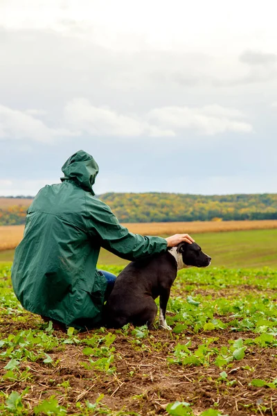 Bir adam fırtınadan sonra köpeğini bir tarlada gezdirir. Bulutlu bir günde doğada çalışan bir teriyeri olan bir adam. Özgürlük, mutluluk, arkadaşlık, doğa kavramı.. 
