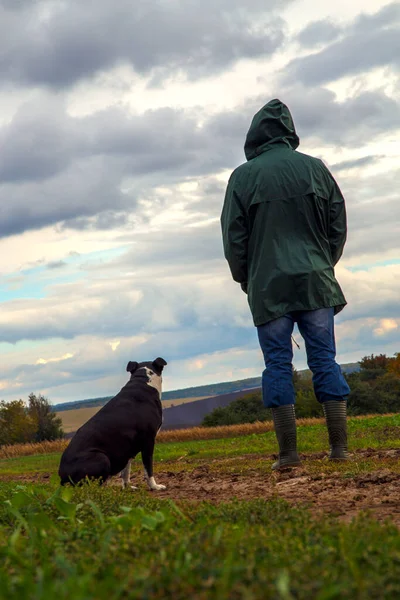 Egy Férfi Sétáltatja Kutyáját Mezőn Egy Vihar Után Egy Fickó — Stock Fotó
