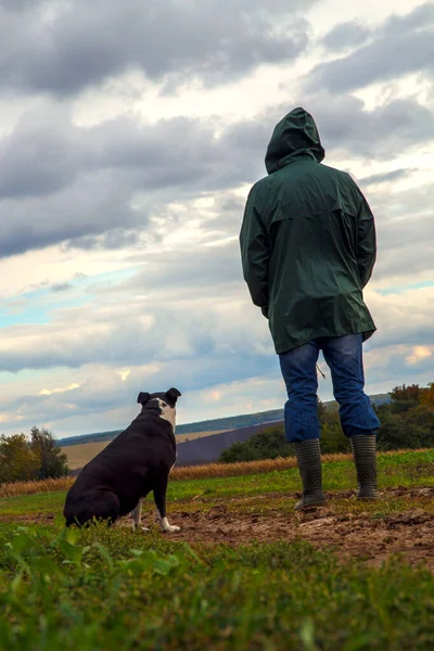 Bir adam fırtınadan sonra köpeğini bir tarlada gezdirir. Bulutlu bir günde doğada çalışan bir teriyeri olan bir adam. Özgürlük, mutluluk, arkadaşlık, doğa kavramı.. 