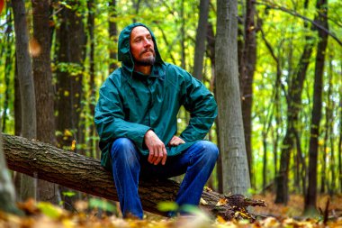 Sonbaharda ormanda sarı akçaağaç yaprağıyla sakallı bir adam. Sonbahar ormanındaki bir adamın portresi. Sakallı adam durur, oturur, sonbahar ormanında yürür. Doğa konsepti, parklar, eğlence.. 