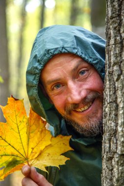 Sonbaharda ormanda sarı akçaağaç yaprağıyla sakallı bir adam. Sonbahar ormanındaki bir adamın portresi. Sakallı adam durur, oturur, sonbahar ormanında yürür. Doğa konsepti, parklar, eğlence.. 