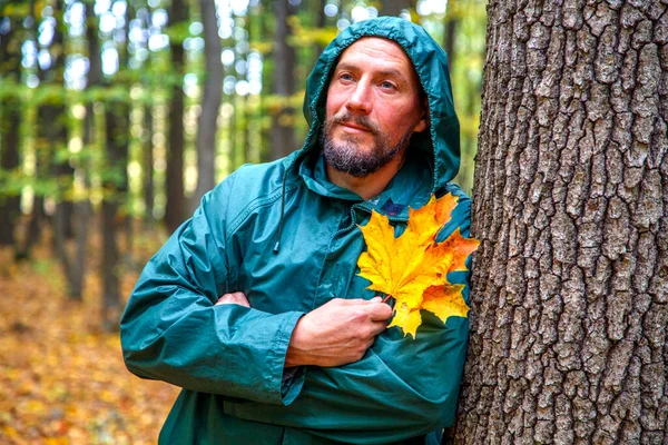 Homem Barbudo Com Folha Bordo Amarelo Outono Floresta Retrato Homem — Fotografia de Stock