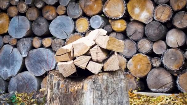 Een Stapel Gehakt Brandhout Tegen Achtergrond Van Een Houthakker Brandhout — Stockvideo