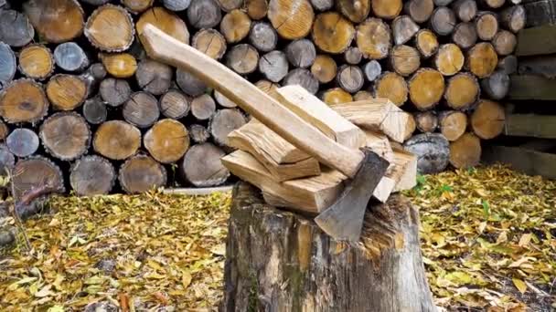 木のカッターを背景に薪を切った山 暖炉やストーブのために麻の上に薪が置かれた 暖かさ 生存の概念 — ストック動画
