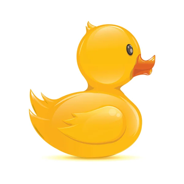 Big-eyed duck — Stock Vector © zsooofija #6614200