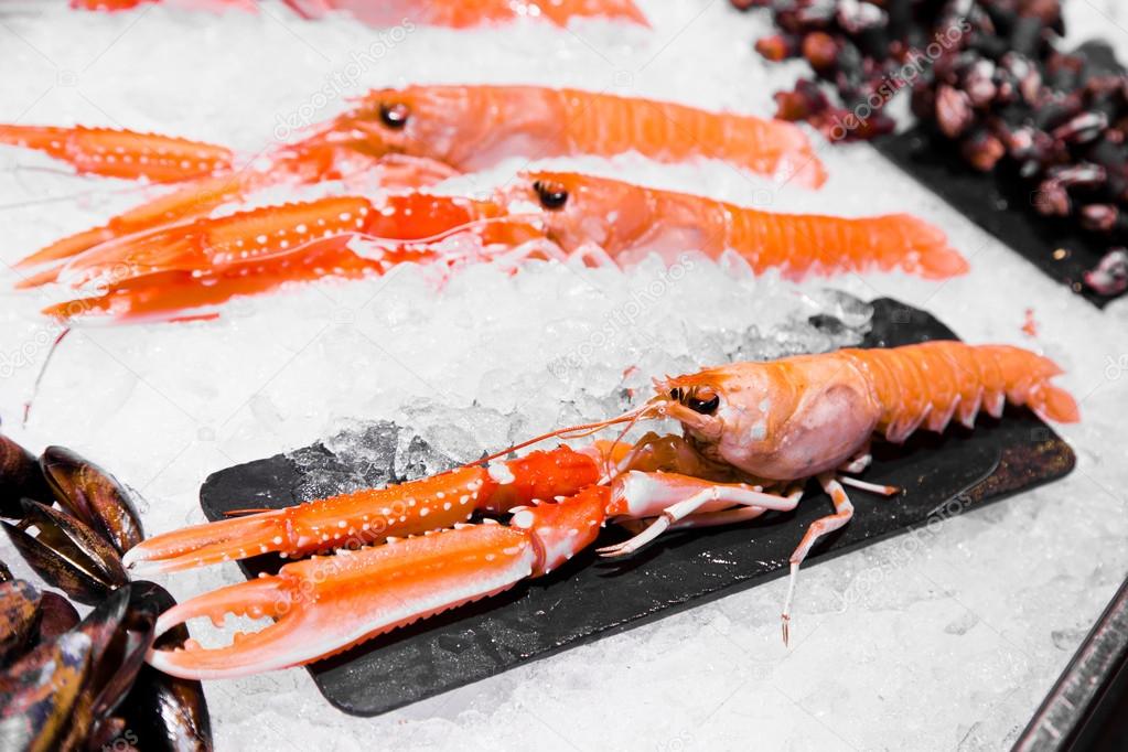 große Garnelen — Stockfoto © microlite 40085501