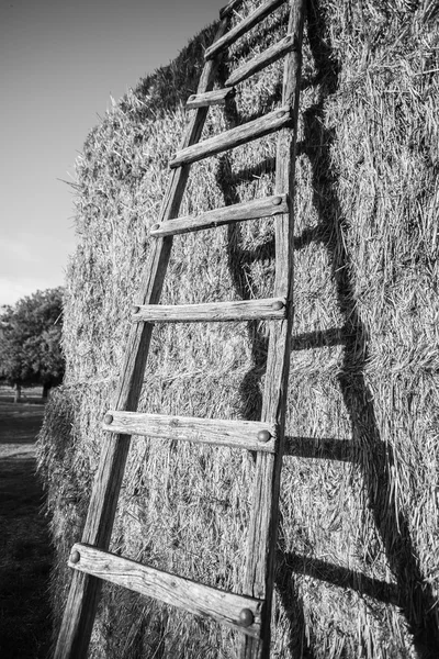 Ladders leaning on bales of hay — Stock Photo, Image