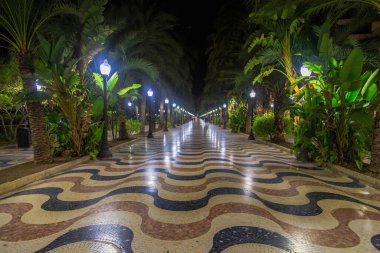 İyi akşamlar Alicante. Şehir sokaklarının güzelliği. İspanya, 2021 Sonbaharı