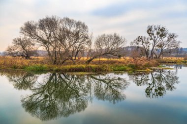 Gölde müthiş sisli bir sabah. Kiev bölgesi, Ukrayna