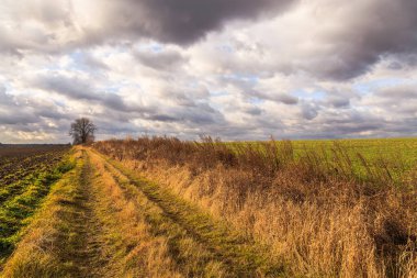Ukrayna yollarında. Saha yolları. Sonbaharın güzelliği.