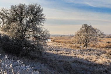 Irpen Nehri 'nde soğuk bir sabah. Kiev bölgesi. 5 Aralık 2021