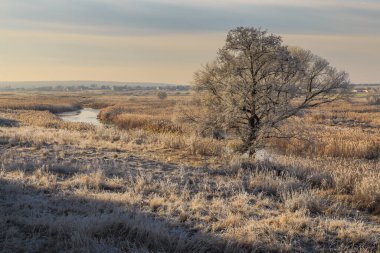 Irpen Nehri 'nde soğuk bir sabah. Kiev bölgesi. 5 Aralık 2021