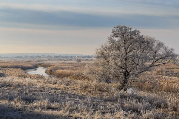 Irpen Nehri 'nde soğuk bir sabah. Kiev bölgesi. 5 Aralık 2021
