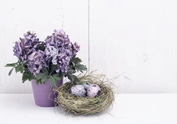 Leśne kwiaty i przepiórcze jaja w gnieździe — Zdjęcie stockowe