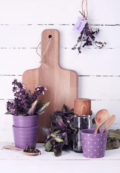 Violet basil — Stock Photo, Image