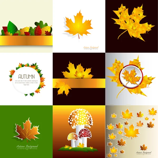 Set of Spring, Summer, Autumn, Winter background with leaves. — Stock Vector