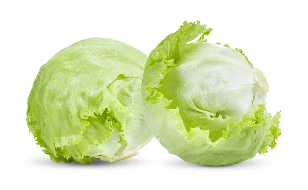 白色背景下的绿色冰山生菜 — 图库照片