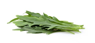 vahşi roket izole üzerinde beyaz backbground yaprakları