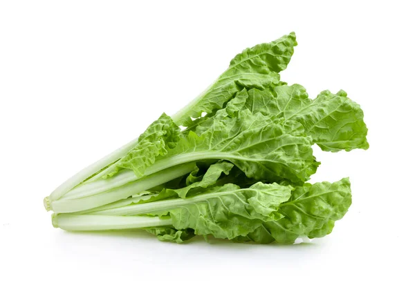 Lettuce Leaves Isolated White Background — Stock Photo, Image