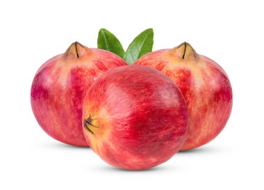 Nar arkaplanda izole edilmiş