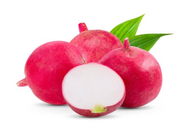 Turp beyaz arka planda izole edilmiş. tam alan derinliği