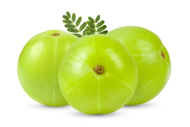 Beyaz arka planda Hint bektaşi üzümü